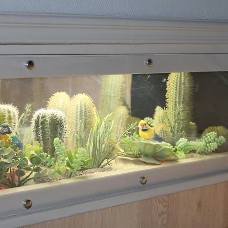 Hotel Logis Beausejour 2*